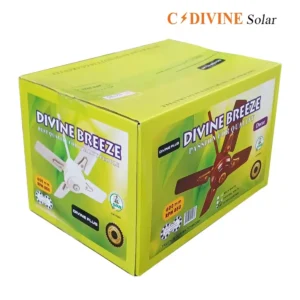 Divine Breeze product packaging showing two ceiling fan blades on a lime-green box with branding visible.