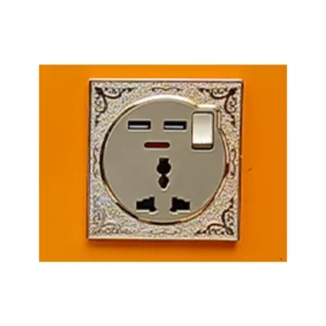 C Divine Queen Gold USB Socket with Neon 1Gang