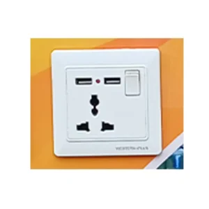 C Divine Western+Plus USB Socket with Neon 1Gang