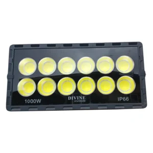 Divine Standard 1000W IP66 LED Flood Light