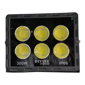 Divine Standard 300W IP66 LED Flood Light